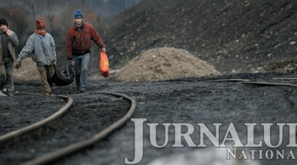 corbi pe hoitul de carbune