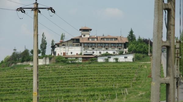 liviu luca lup pastor la oi