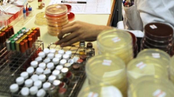 tarile bogate avantajate in privinta accesului la vaccinul pentru gripa porcina