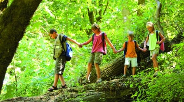 zboara puiule zboara