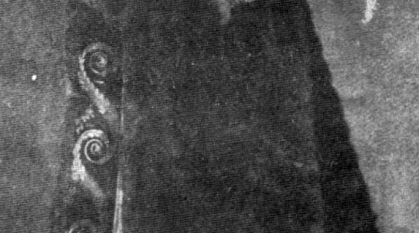 doamna de la tescani printesa lui enescu