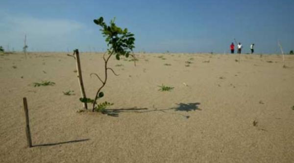 omul care a adus ploaia in sahara olteniei