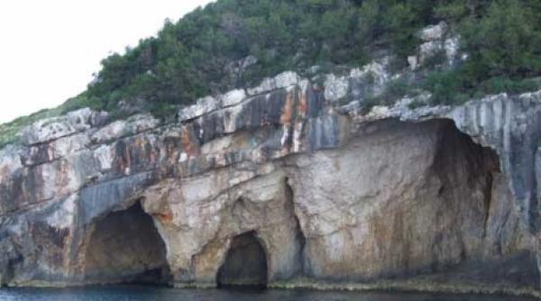 zakynthos floarea levantului