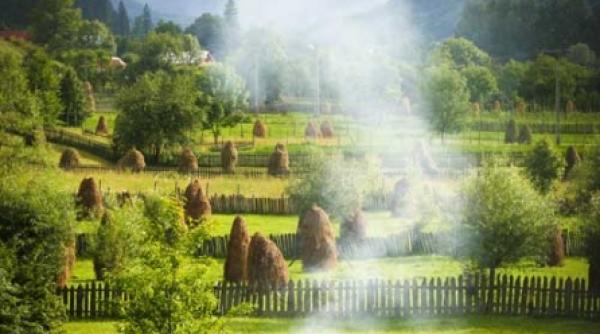 nicolae labis ramane o amintire frumoasa