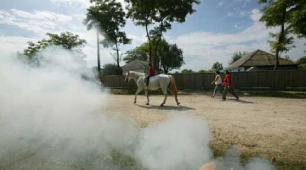 cezar petrescu cronicar al realitatii interbelice