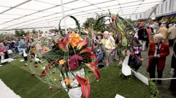 propuneri de aranjamente florale de la chelsea flower show 2009