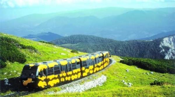 pur si simplu austria