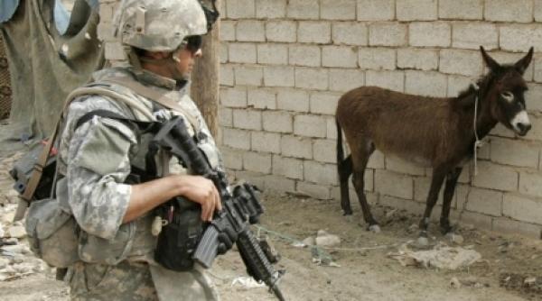 mii de magari mobilizati pentru alegerile din afganistan