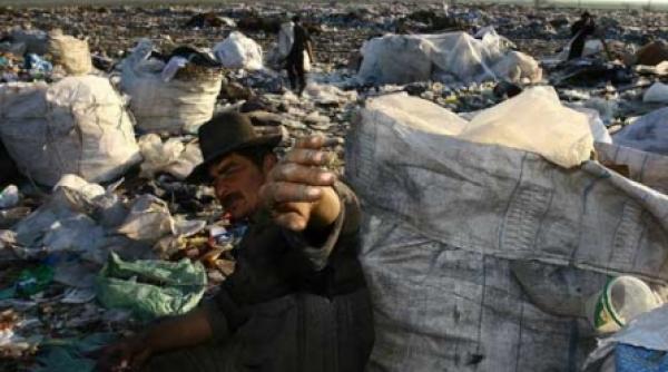 meciul gunoaielor la timis