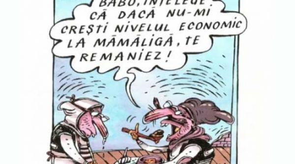 guvernul boc si partul fondator