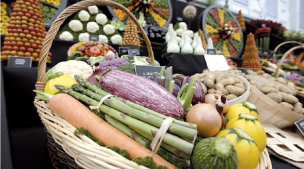 proiecte diverse de gradini la chelsea flower show