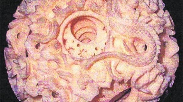 transmiterea unei stiinte stravechi