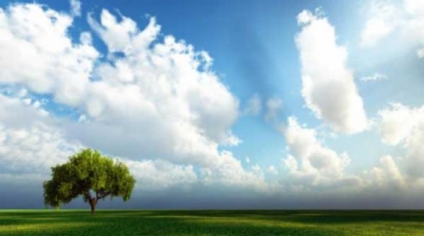 universul ca o singura celula