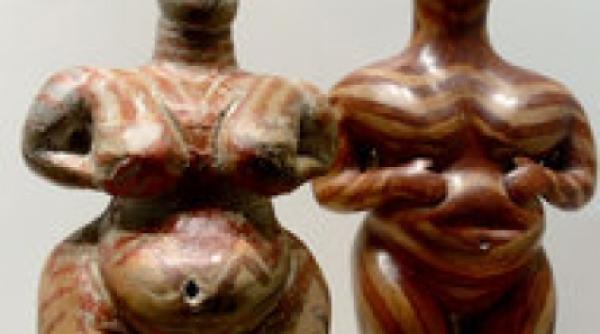 cotatcu schelet vechi de noua milenii