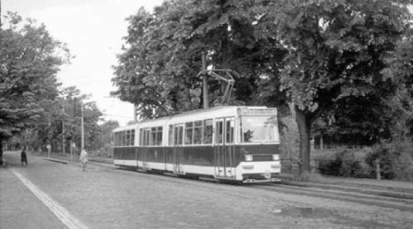tramvaiul nr 630 furaciune de la nemti