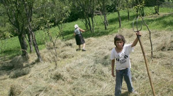 anpdc trimite copiii la joaca