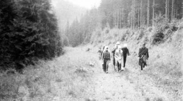 aflam aspecte mai putin cunoscute din caliman