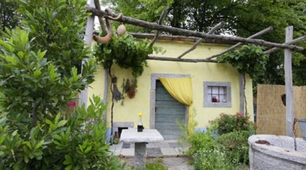 gradina mediteraneana pe spatiu mic si in plin soare