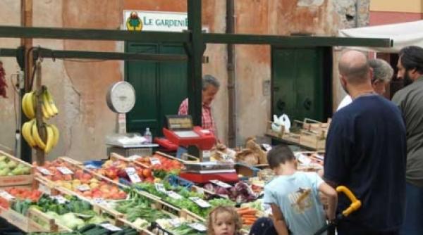 recomandarile din ghidul codex