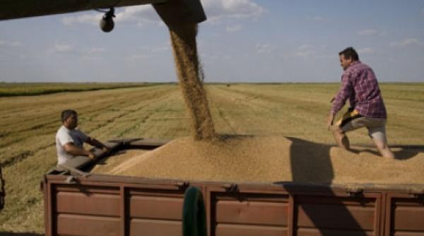 stam bine cu planificarea romania s a scos cu productia de grau
