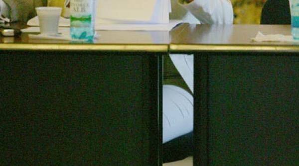 elena udrea transparenta cu intarzieri si amenzi