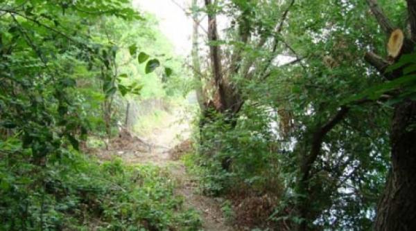 drum ilegal pe malul lacului