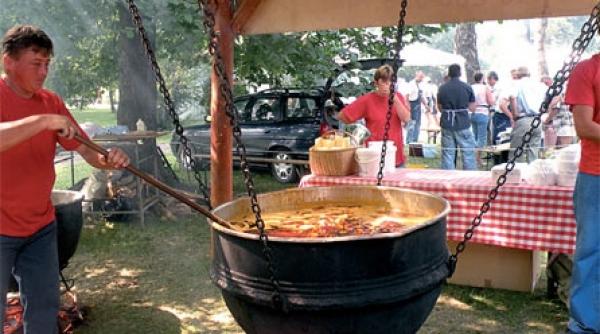 festivalul cartofului