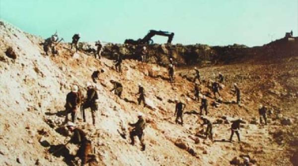 istorii cu brigadieri