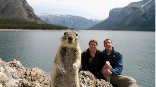 o veverita pentru albumul de familie