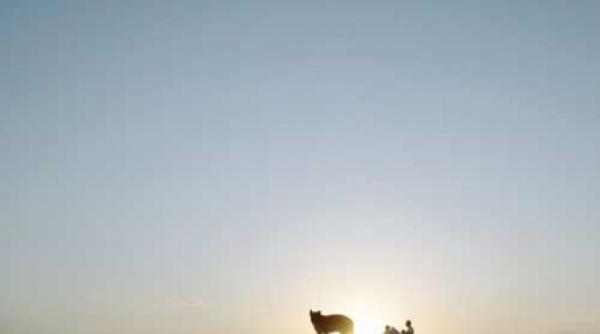 fericirea i un lucru marunt