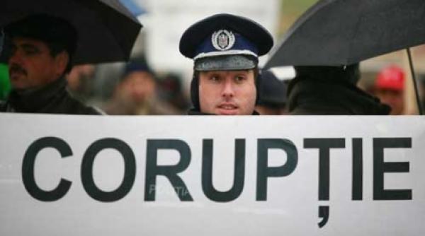 creier de porc la interne