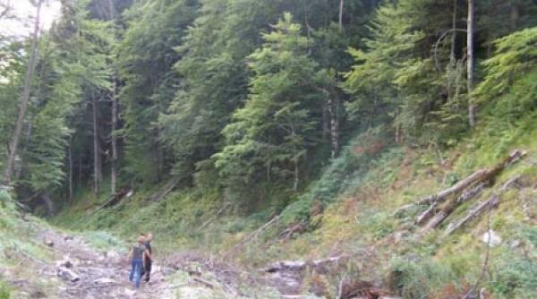 politistii au fost din nou pe langa