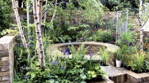 demelza o gradina hibrid