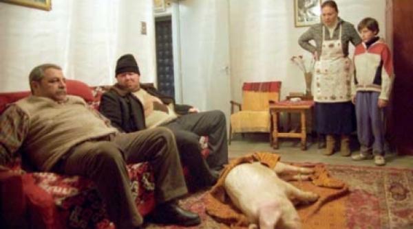 in competitie doar lungmetraje de debut