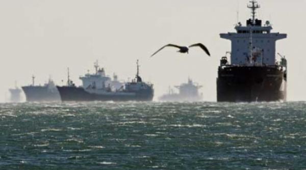 avas ingroapa arhiva petromin