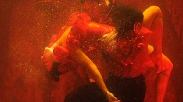 muscle musical vraja molatica a baletului sub apa