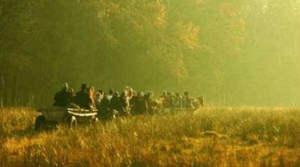 sa vinzi un vitel ca sa cumperi o carte