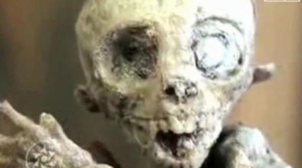 extraterestru prins intr o cursa pentru sobolani video