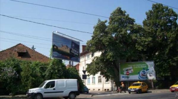 licitatii cu dedicatie si haos in contracte