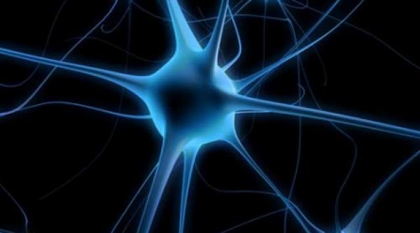 terapii pentru tinerea in viata a neuronilor