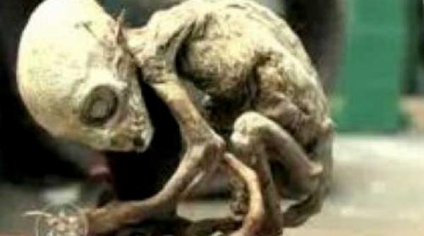 din povestile internetului partea a ii a extraterestrii se razbuna