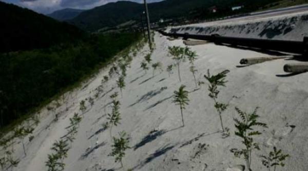 romania a absorbit 66 din banii de mediu