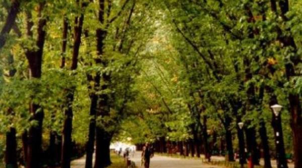 aniversare post mortem michael jackson da numele unei alei in bucuresti