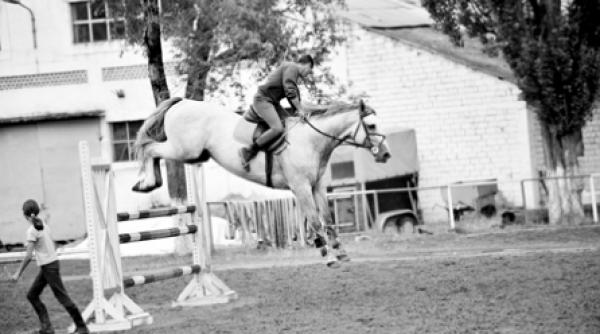 ultimul nechezat al cailor de rasa