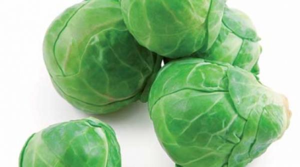 varza face ordine in organism