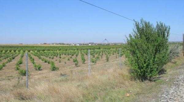 fratele presedintelui si a facut bine lectiile