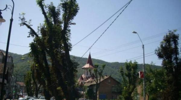 dumnezeu sa i ierte pe castanii din piatra neamt