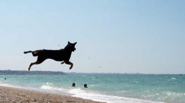 vacanta nu s a terminat