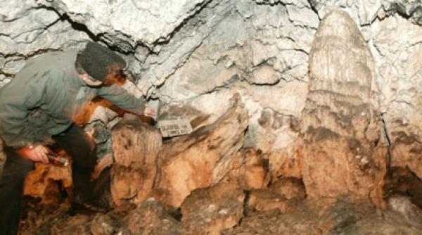 cea mai de pret comoara