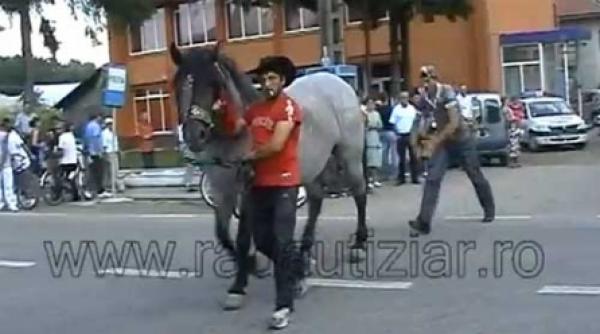 nu i nevoie de sase cai frumosi